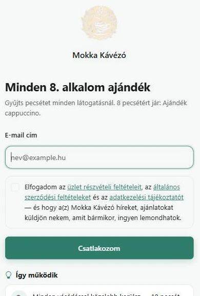 A csatlakozási oldal a vendég telefonján: egyetlen e-mail cím mező